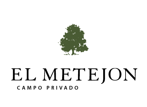 El Metejon